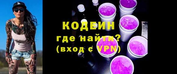 шишки Абаза