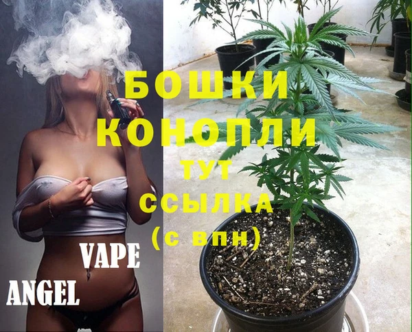 шишки Алексин