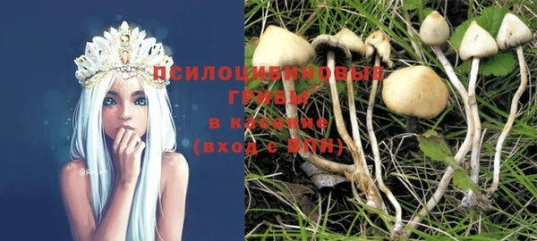 ешки Алексеевка