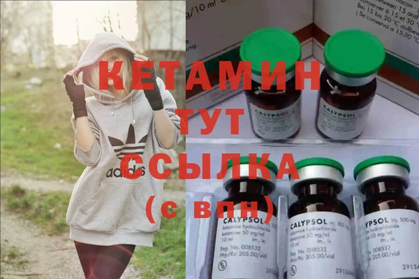 шишки Абаза
