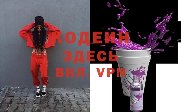 шишки Абаза
