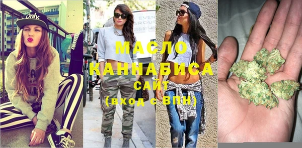 шишки Абаза